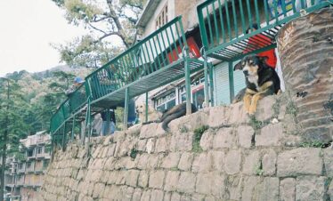 Peaceful mountain town of Dharamshala