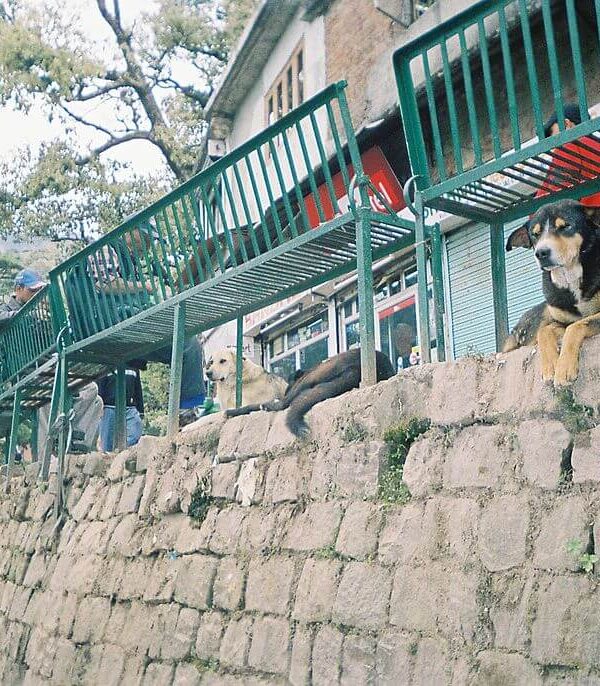 Peaceful mountain town of Dharamshala