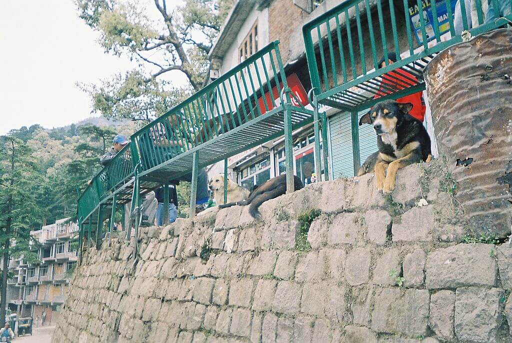 Peaceful mountain town of Dharamshala