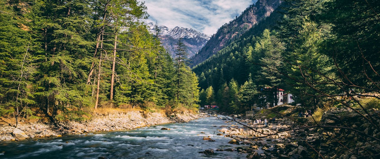 Beautiful landscape of river flowing through coniferous forest in Kasol, India with mountains in the background.