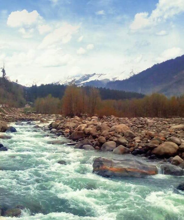 Nature and valley view in Manali