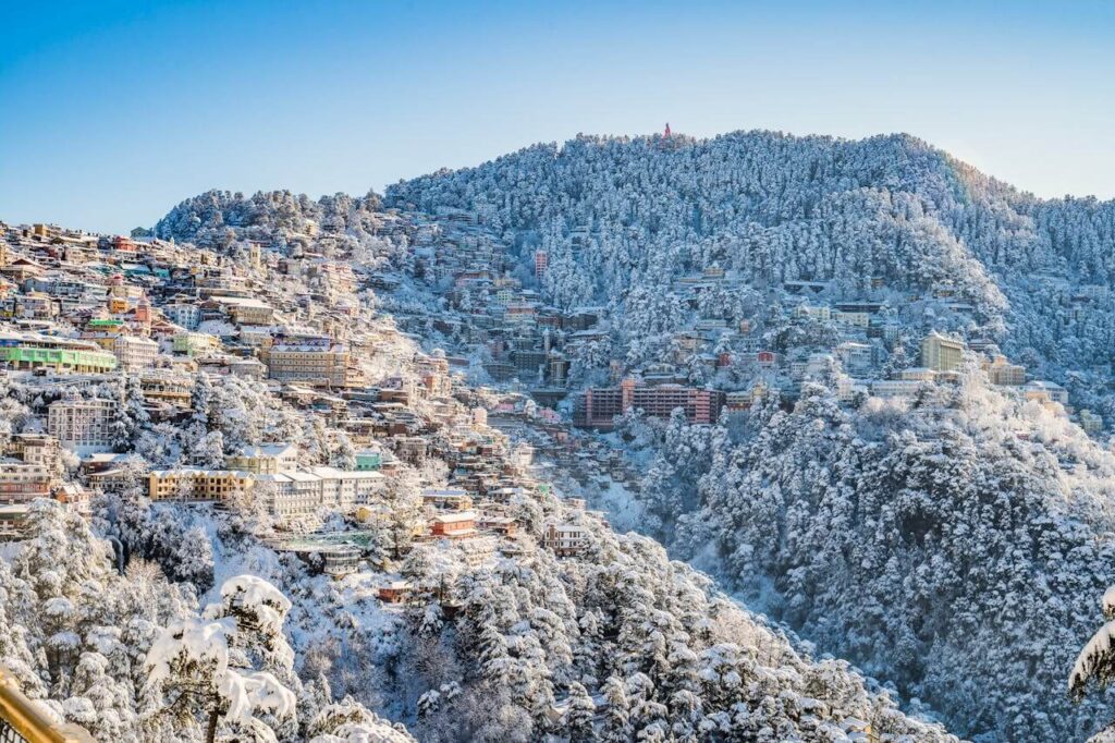 Snow-covered rooftops and pine trees in Shimla during winter