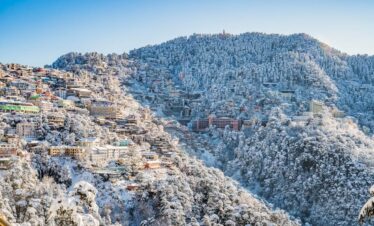 Snow-covered rooftops and pine trees in Shimla during winter