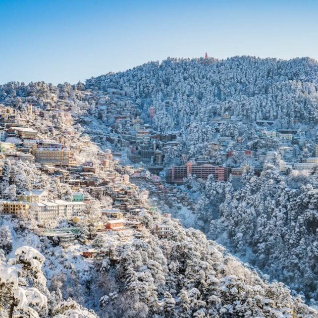 Snow-covered rooftops and pine trees in Shimla during winter