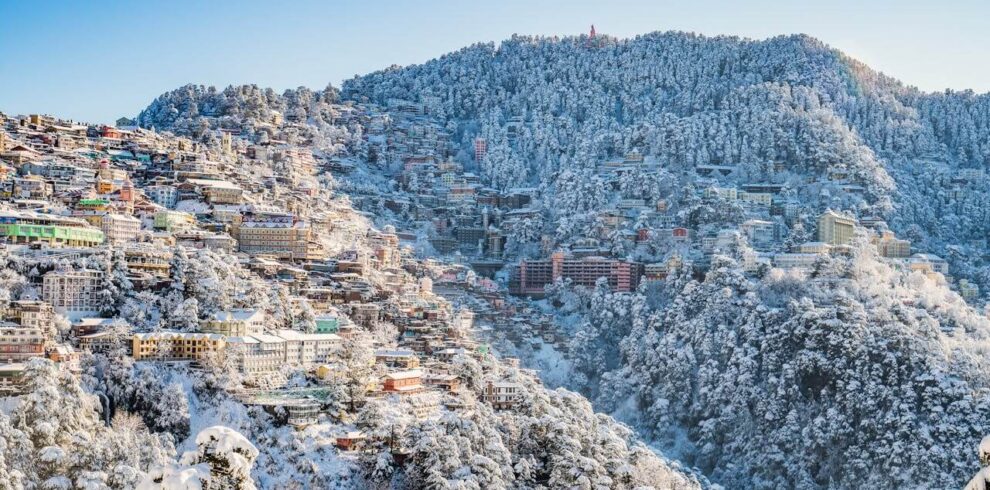 Snow-covered rooftops and pine trees in Shimla during winter