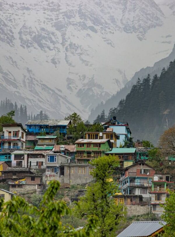 Snowy peaks and greenery around Manali