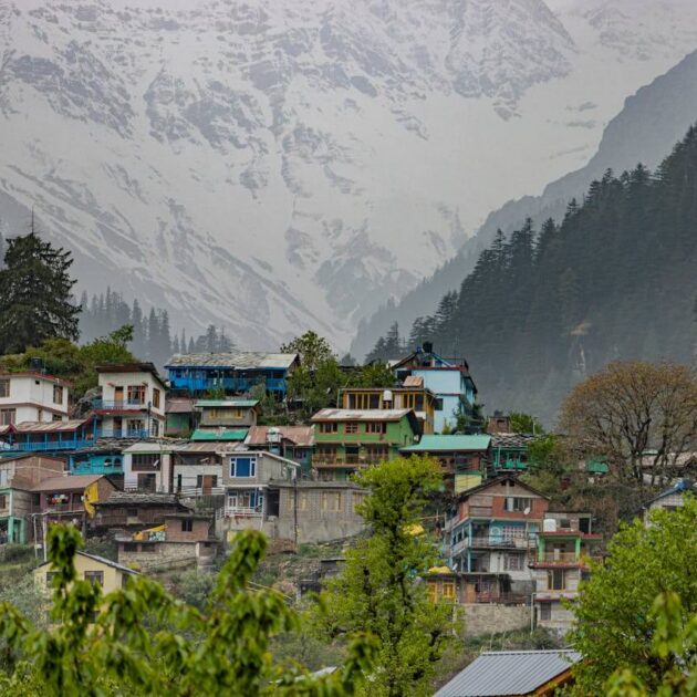 Snowy peaks and greenery around Manali